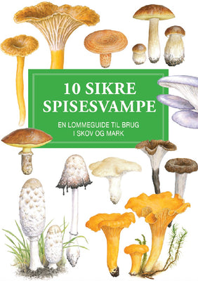 10 sikre spisesvampe